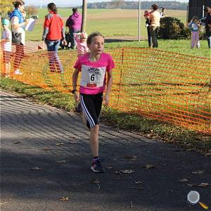 Weisseritztallauf 2017 179