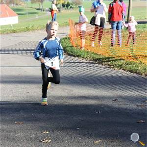 Weisseritztallauf 2017 180