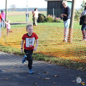 Weisseritztallauf 2017 181