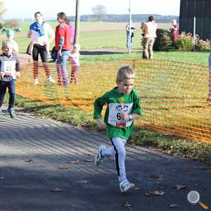 Weisseritztallauf 2017 182