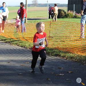 Weisseritztallauf 2017 183