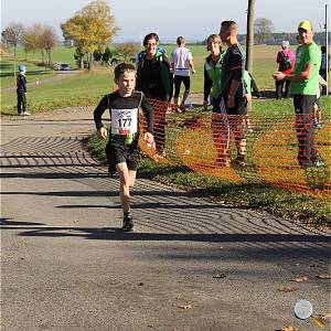 Weisseritztallauf 2017 203