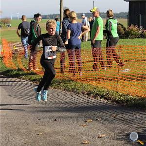 Weisseritztallauf 2017 208