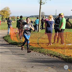 Weisseritztallauf 2017 213