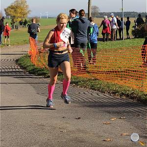 Weisseritztallauf 2017 219