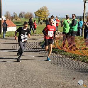 Weisseritztallauf 2017 220