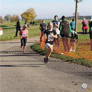 Weisseritztallauf 2017 225