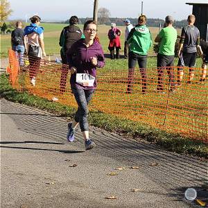 Weisseritztallauf 2017 227