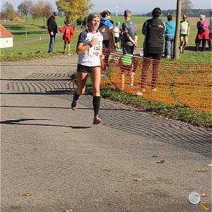 Weisseritztallauf 2017 229