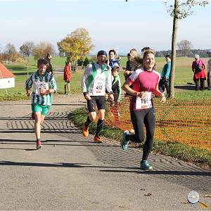 Weisseritztallauf 2017 235