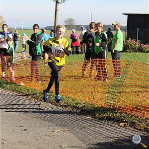 Weisseritztallauf 2017 236