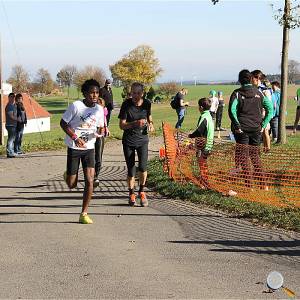 Weisseritztallauf 2017 238