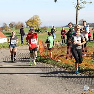 Weisseritztallauf 2017 240