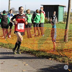 Weisseritztallauf 2017 242