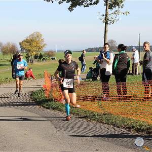 Weisseritztallauf 2017 244