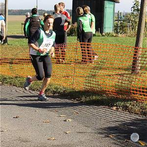 Weisseritztallauf 2017 248