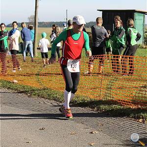 Weisseritztallauf 2017 253