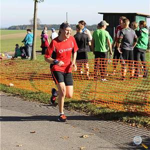 Weisseritztallauf 2017 268