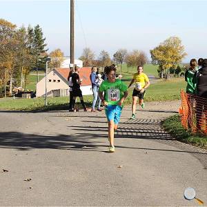 Weisseritztallauf 2017 294