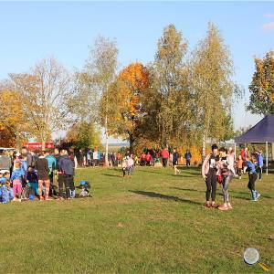 Weisseritztallauf 2019 002