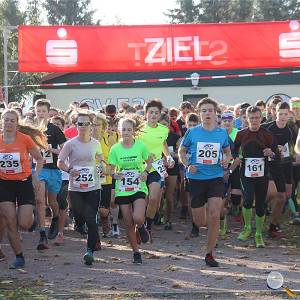 Weisseritztallauf 2019 024