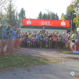 Weisseritztallauf 2019 034