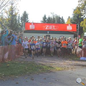 Weisseritztallauf 2019 035