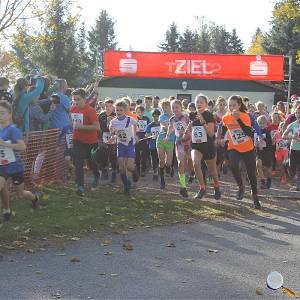 Weisseritztallauf 2019 037