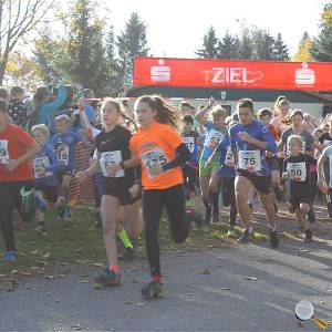 Weisseritztallauf 2019 038