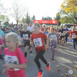 Weisseritztallauf 2019 040