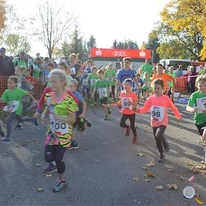 Weisseritztallauf 2019 042