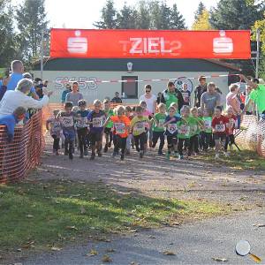 Weisseritztallauf 2019 045