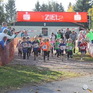 Weisseritztallauf 2019 046