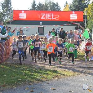 Weisseritztallauf 2019 047