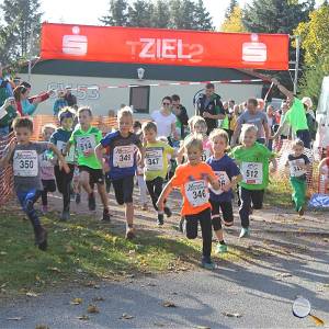 Weisseritztallauf 2019 048