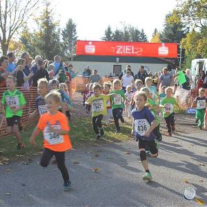 Weisseritztallauf 2019 049