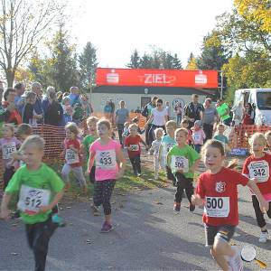 Weisseritztallauf 2019 050