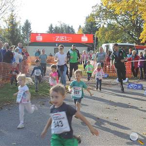 Weisseritztallauf 2019 051