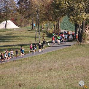 Weisseritztallauf 2019 053