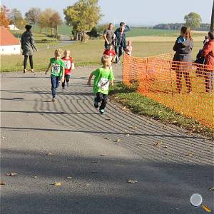 Weisseritztallauf 2019 173