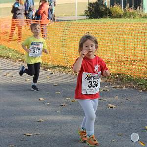 Weisseritztallauf 2019 180