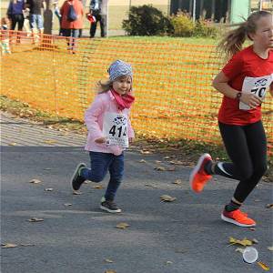 Weisseritztallauf 2019 190