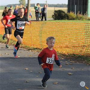 Weisseritztallauf 2019 191