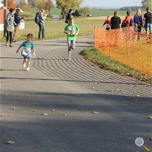 Weisseritztallauf 2019 194