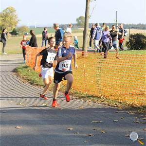 Weisseritztallauf 2019 200