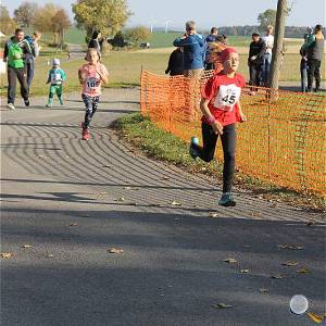 Weisseritztallauf 2019 201