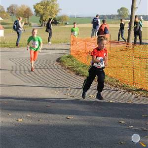 Weisseritztallauf 2019 203