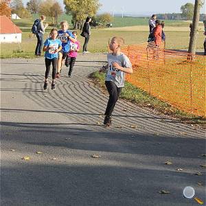 Weisseritztallauf 2019 207