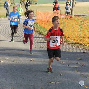 Weisseritztallauf 2019 208