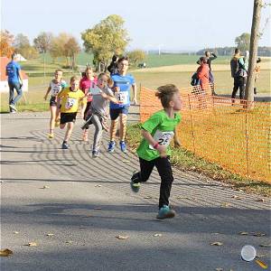 Weisseritztallauf 2019 216